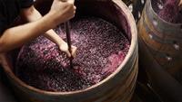 Những điều chưa biết về tannin trong rượu vang