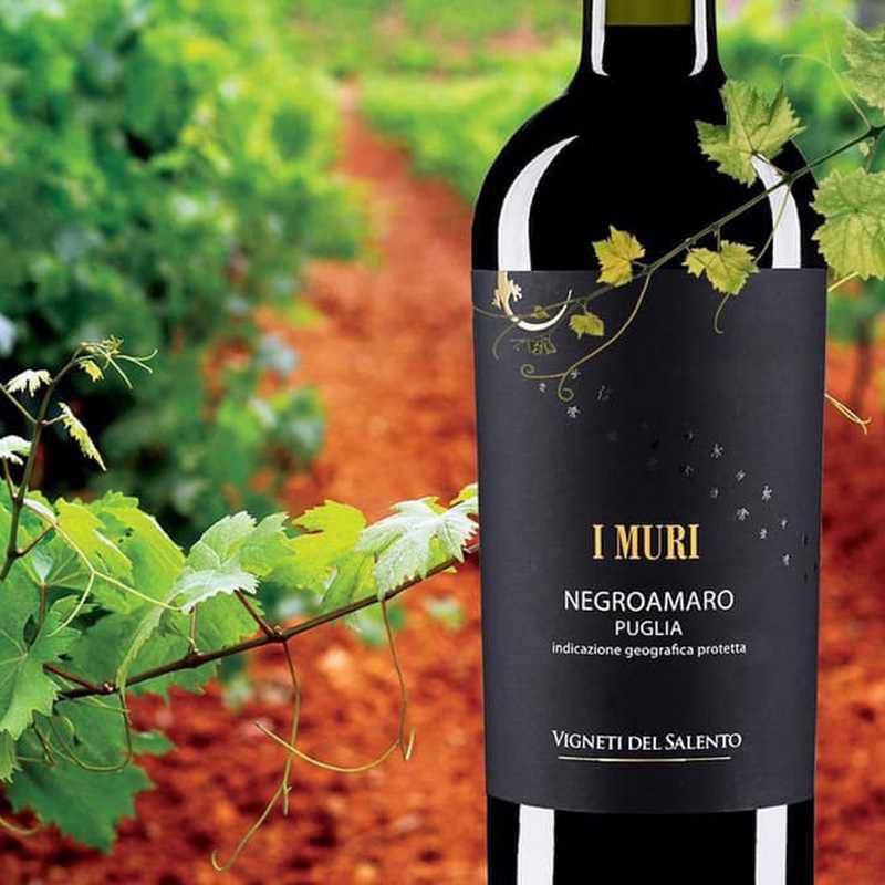 Rượu vang Negroamaro Puglia